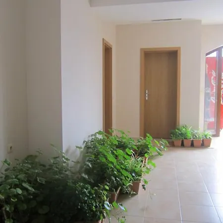 Aqua Dreams Studio סבטי ולאס